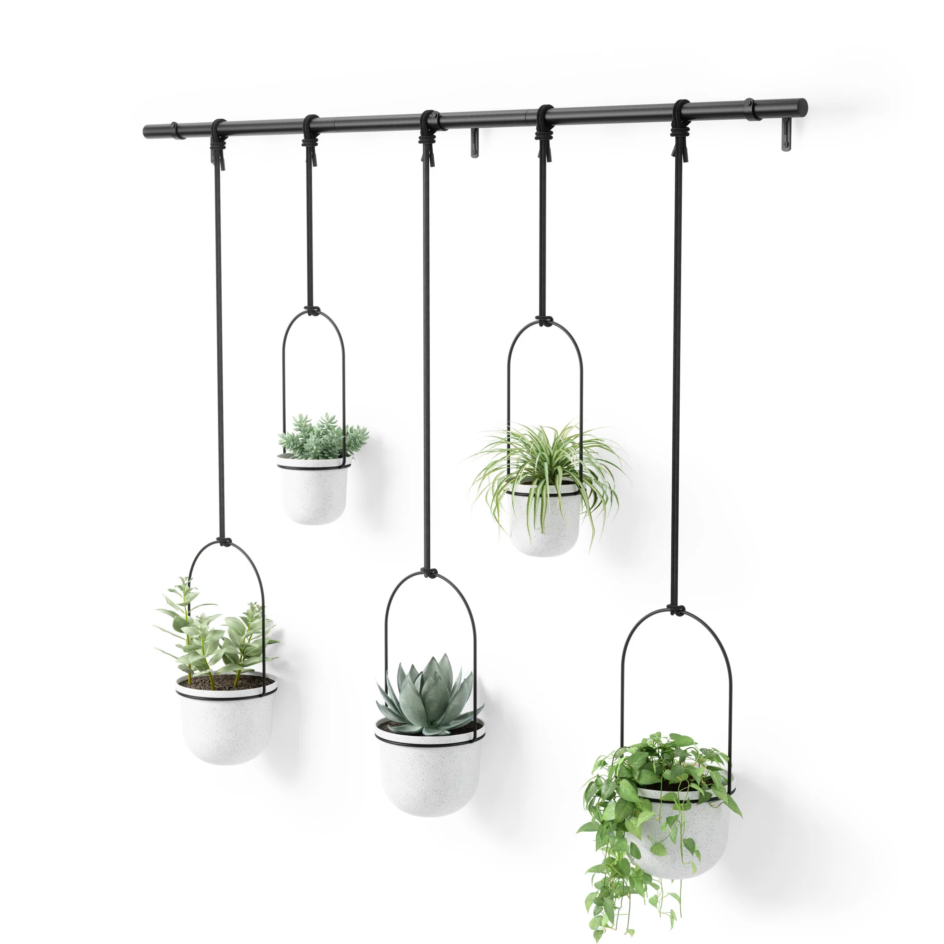 UMBRA Triflora Hanging Planters, Set of 5 - Image 6