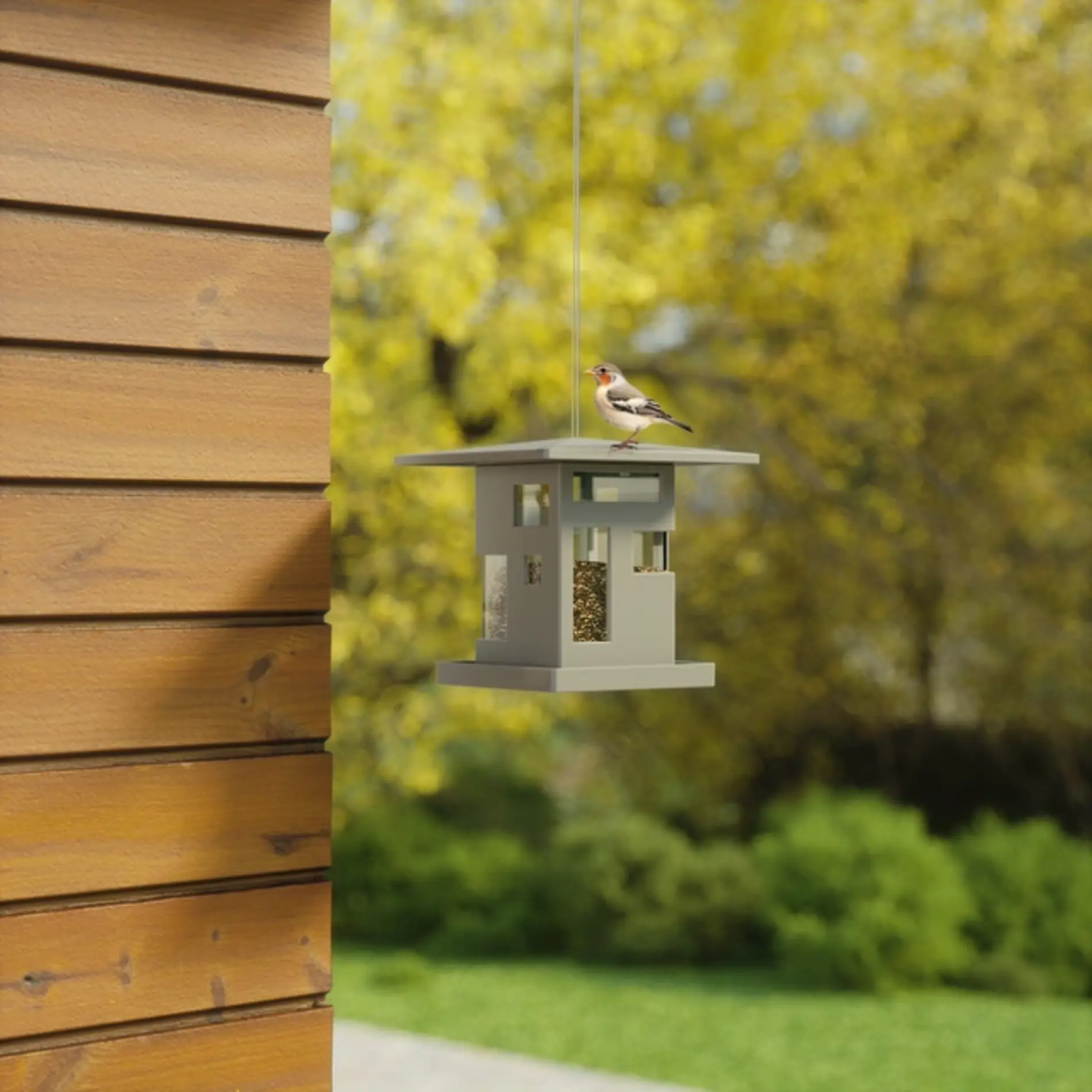 UMBRA Bird Cafe — Cube - Image 3